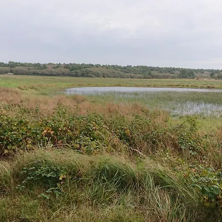 Beatrix * De Koog (Texel)