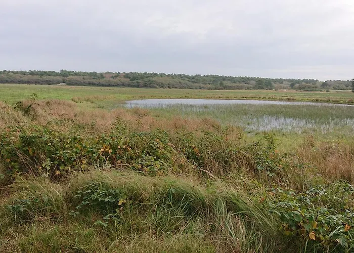 Beatrix * De Koog (Texel)